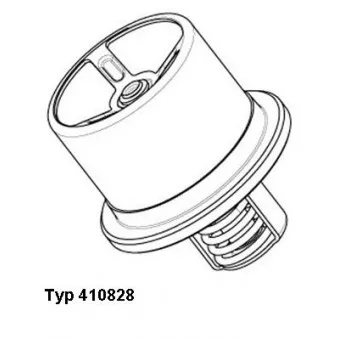 Thermostat d'eau WAHLER