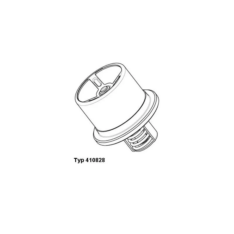 Thermostat d'eau WAHLER 410828.86D0
