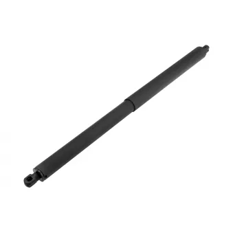 Vérin de hayon, de coffre arrière droit  TEKNÖR AE-CH-059