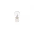 Ampoule P21/5W BOSCH 1 987 302 524/10 - Visuel 3