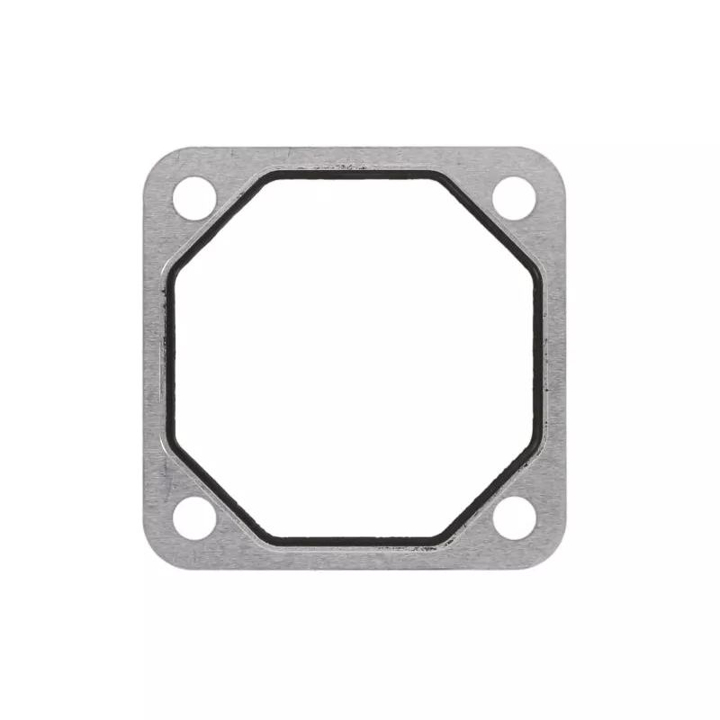 Joint d'étanchéité, collecteur d'admission LEMA 21405.28