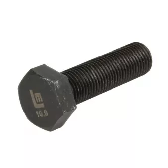 Vis, disque de frein LEMA