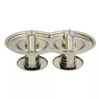 Thermostat d'eau LEMA