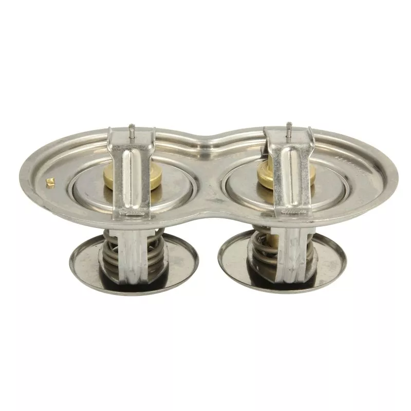 Thermostat d'eau LEMA 425196