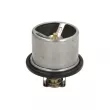 Thermostat d'eau LEMA 585091 - Visuel 2