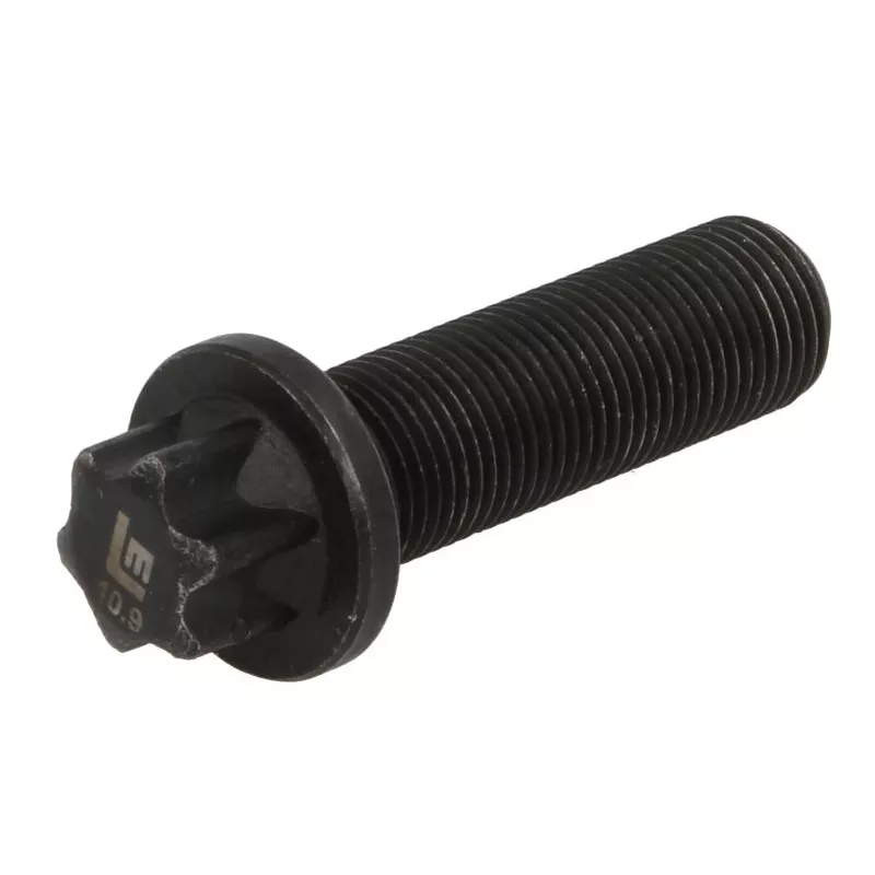 Boulon de fixation du disque de frein LEMA 9016025.0