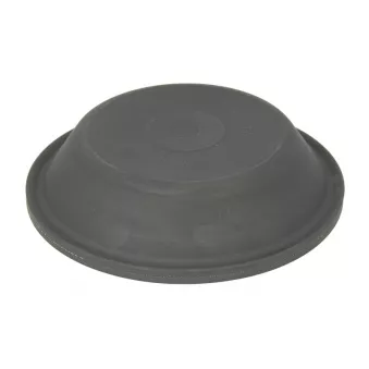 Diaphragme, cylindre de frein SBP 05-DMT24