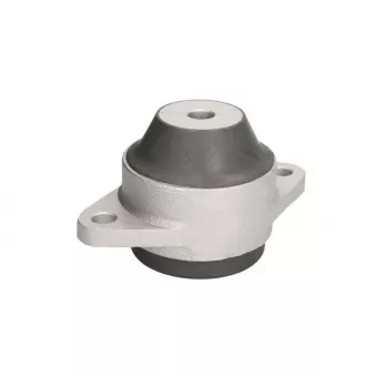 Support moteur BPART 81.96210.0439BP