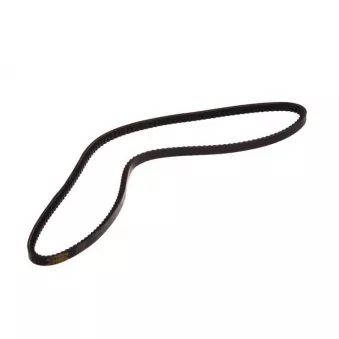 Courroie trapézoïdale BPART AVX 13X1200 ROVEN