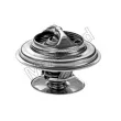 Thermostat d'eau MOTORAD 248-79JK - Visuel 2