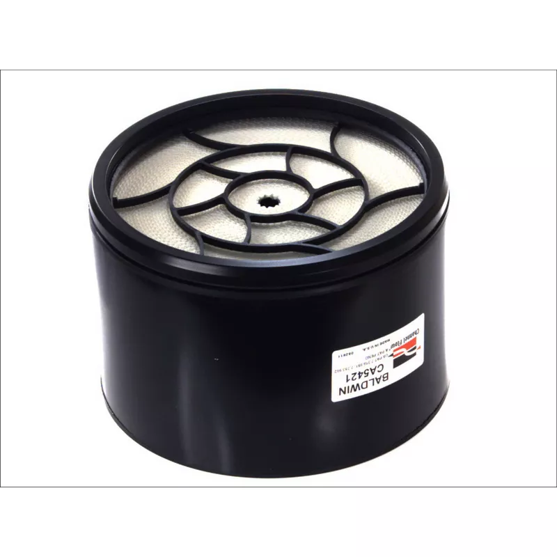 Filtre à air BALDWIN CA5421 - Visuel 1