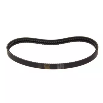 Courroie trapézoïdale BPART 2AVX 13X1150 ROVEN