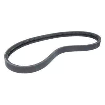 Courroie trapézoïdale BPART 2AVX 13X1175 ROVEN