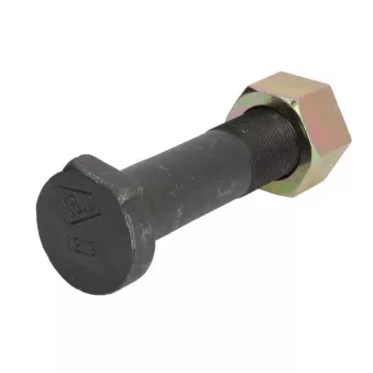 Vis ANAC MAKINA 123-00928