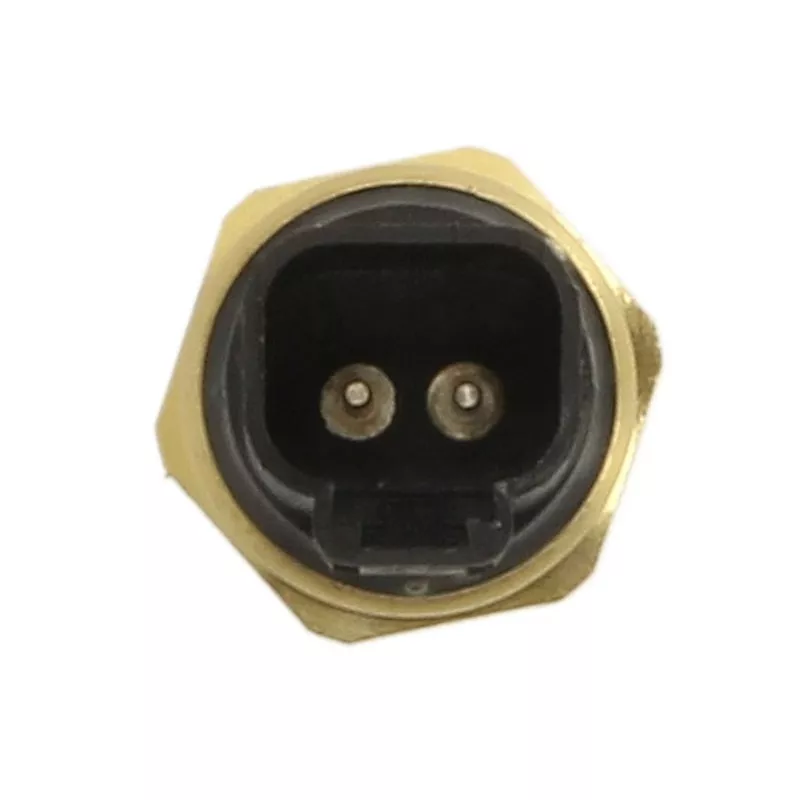 Sonde de température, liquide de refroidissement ANAC MAKINA 716-30160 - Visuel 1