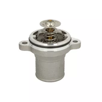 Thermostat d'eau ANAC MAKINA 02-203184