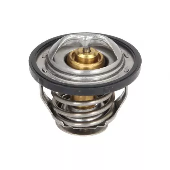 Thermostat d'eau ANAC MAKINA 320-04618