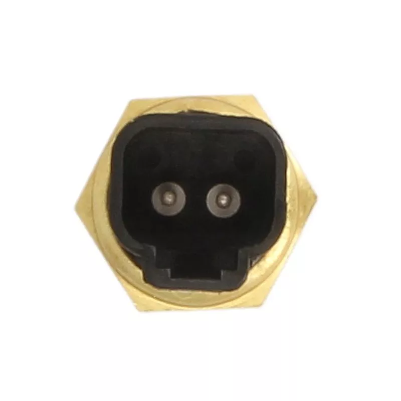 Sonde de température, liquide de refroidissement ANAC MAKINA 701-80317 - Visuel 1