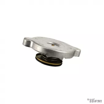 Bouchon vase d'expansion YOUNG PARTS 4225-010