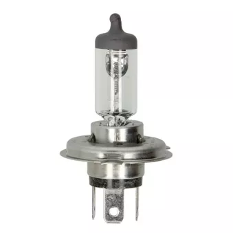 Ampoule, projecteur longue portée OSRAM 4050300250632
