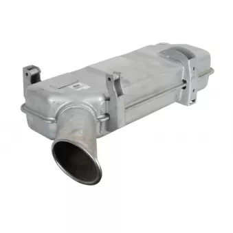 Silencieux arrière DINEX 68403