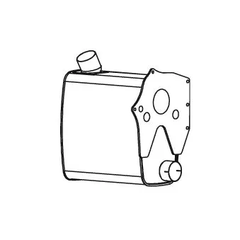 Silencieux central DINEX