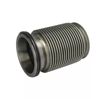 Amortisseur de vibrations d'échappement DINEX