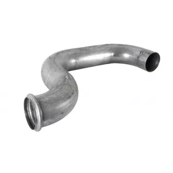 Tuyau d'échappement DINEX 80719