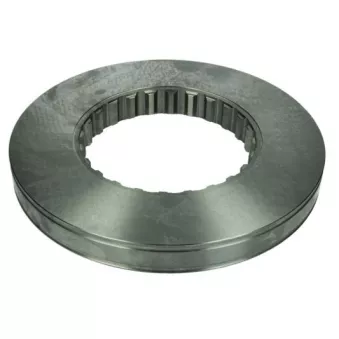 Jeu de 2 disques de frein arrière SBP