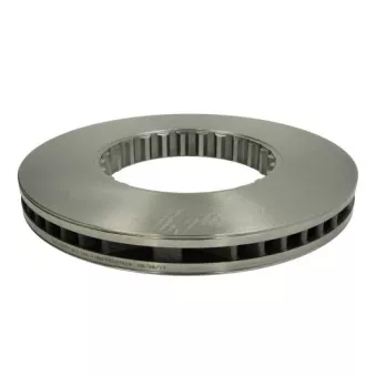 Jeu de 2 disques de frein arrière SBP