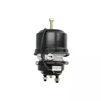 Cylindre de prétension SBP