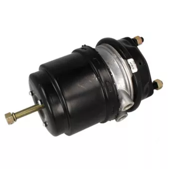 Cylindre de prétension SBP 05-BCT24/24-G07