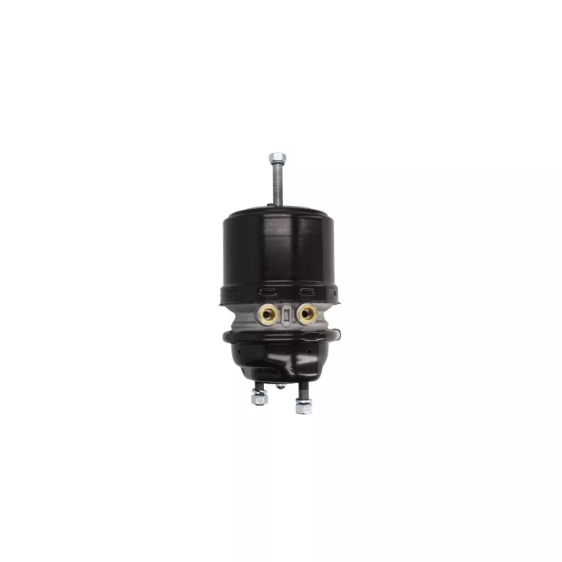 Cylindre de prétension SBP 05-BCT20/24-W02