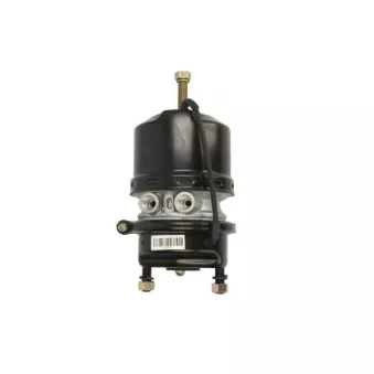 Cylindre de prétension SBP