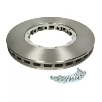 Jeu de 2 disques de frein arrière SBP 02-DA001