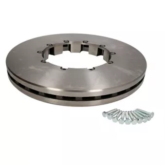 Jeu de 2 disques de frein SBP