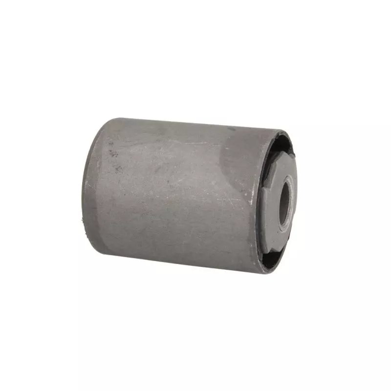 Coussinet de palier, ressort à lames S-TR STR-1203258