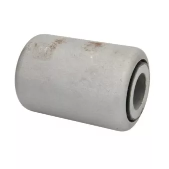 Coussinet de palier, ressort à lames S-TR