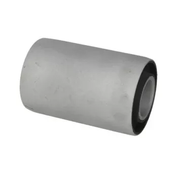 Suspension, ressort à lames S-TR