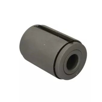 Suspension, ressort à lames S-TR