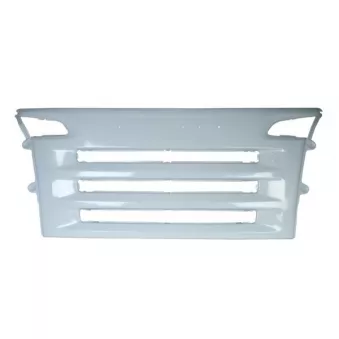 Grille de radiateur PACOL