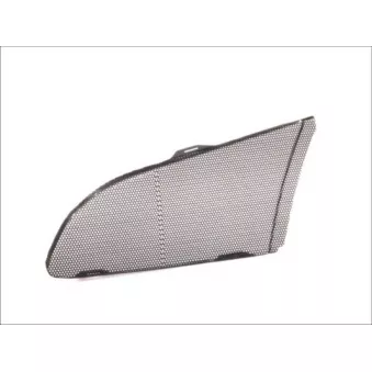 Grille de radiateur PACOL