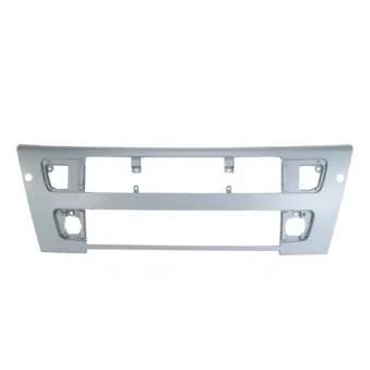 Grille de radiateur PACOL