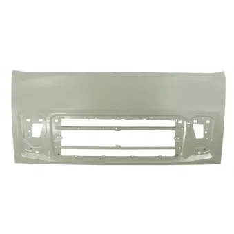 Grille de radiateur PACOL