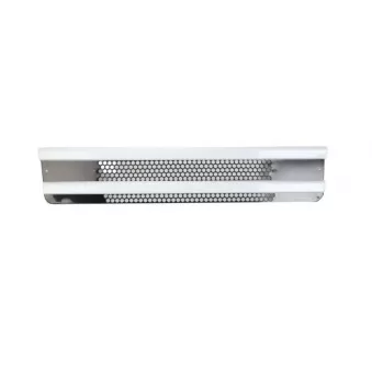 Grille de radiateur PACOL