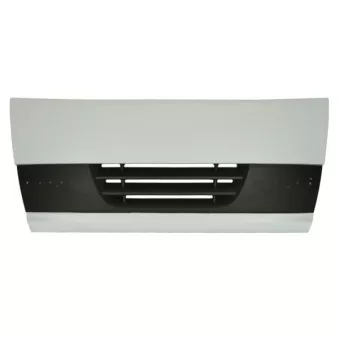 Grille de radiateur PACOL