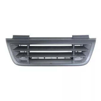 Grille de radiateur PACOL