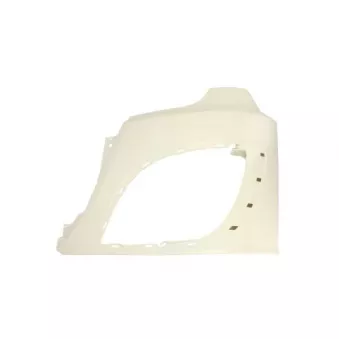 Boîtier, projecteur principal avant gauche  PACOL