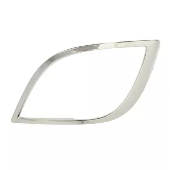 Cadre, projecteur principal PACOL