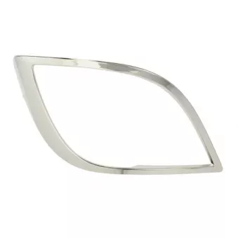 Cadre, projecteur principal PACOL